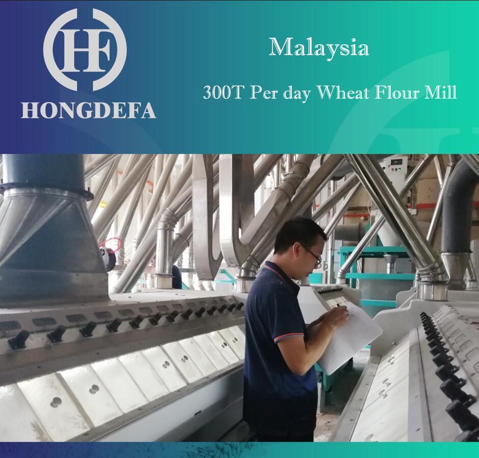 Malaysia 300t Wheat Mill