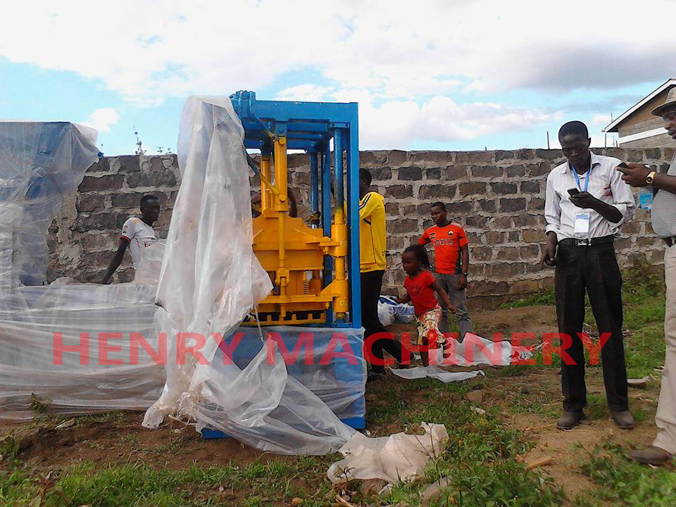 Henry QT4-20 Automatic cement block making machinery in Ethiopia