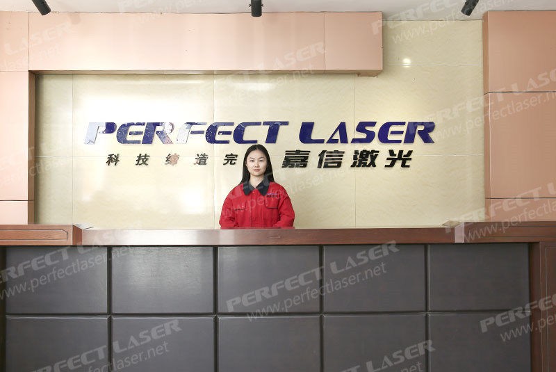 Perfect Laser